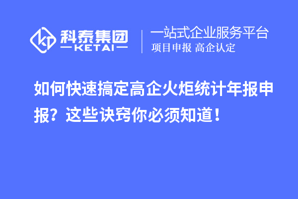 如何快速搞定高企火炬统计年报申报？这些诀窍你必须知道！