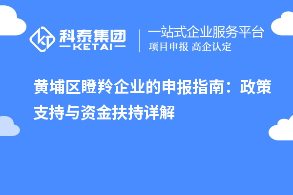 黄埔区瞪羚企业的申报指南：政策支持与资金扶持详解