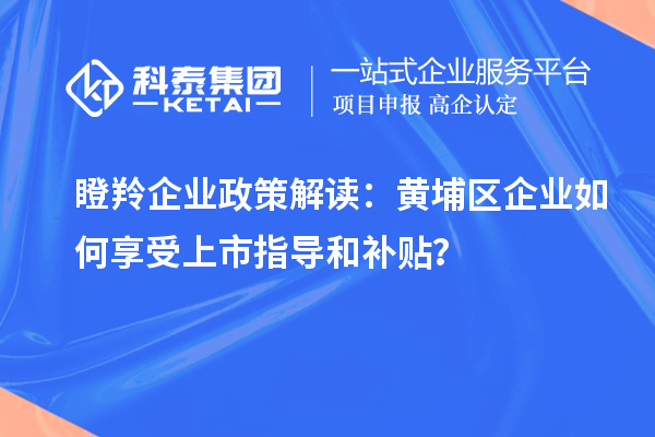 瞪羚企业政策解读：黄埔区企业如何享受上市指导和补贴？