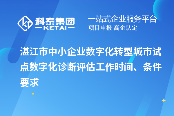 湛江市中小企业数字化转型城市试点数字化诊断评估工作时间、条件要求