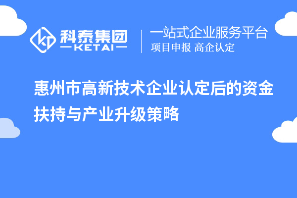 惠州市
后的资金扶持与产业升级策略