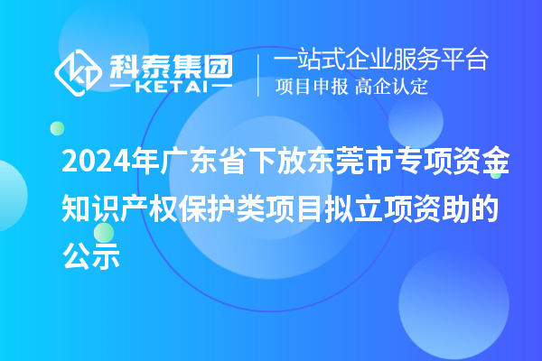 2024年广东省下放东莞市专项资金知识产权保护类项目拟立项资助的公示