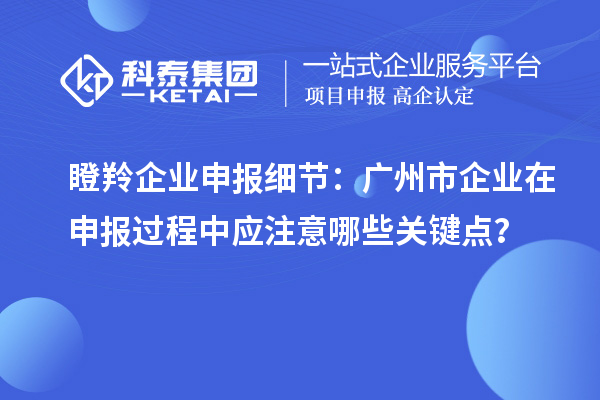 瞪羚企业申报细节：广州市企业在申报过程中应注意哪些关键点？