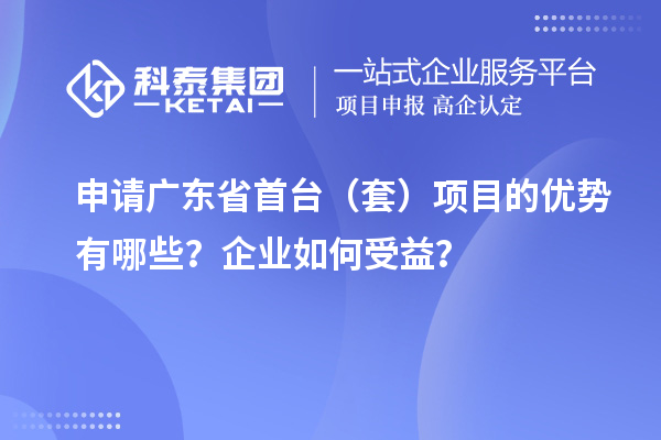 申请广东省首台（套）项目的优势有哪些？企业如何受益？