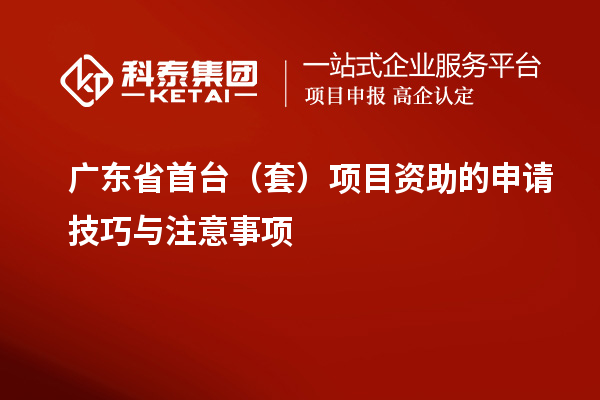 广东省首台（套）项目资助的申请技巧与注意事项