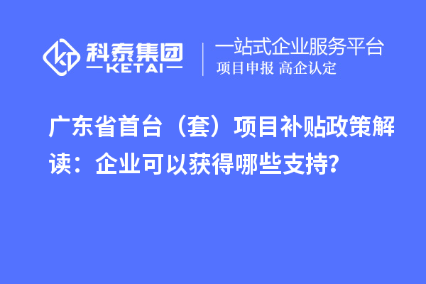 广东省首台（套）项目补贴政策解读：企业可以获得哪些支持？