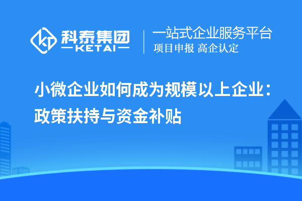 小微企业如何成为规模以上企业：政策扶持与资金补贴