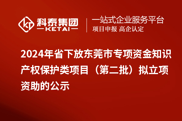 2024年省下放东莞市专项资金知识产权保护类项目（第二批）拟立项资助的公示