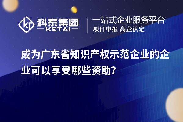 成为广东省知识产权示范企业的企业可以享受哪些资助？