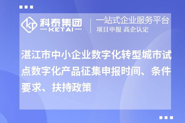 湛江市中小企业数字化转型城市试点数字化产品征集申报时间、条件要求、扶持政策