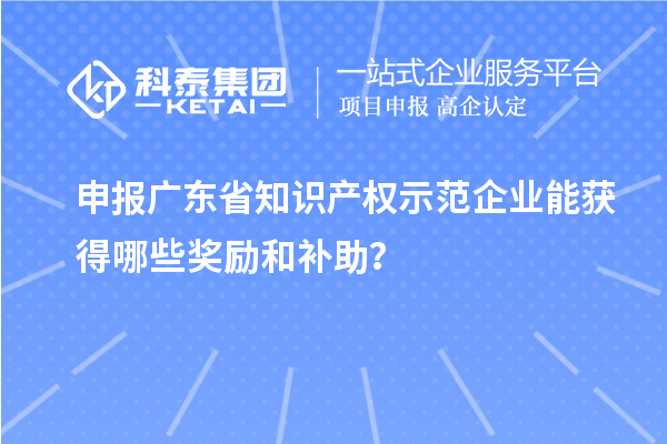 申报广东省知识产权示范企业能获得哪些奖励和补助？