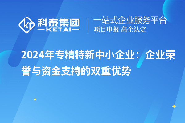 2024年专精特新中小企业：企业荣誉与资金支持的双重优势