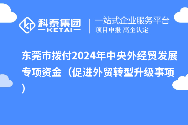 东莞市拨付2024年中央外经贸发展专项资金（促进外贸转型升级事项）