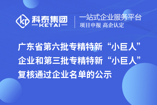 广东省第六批专精特新“小巨人”企业和第三批专精特新“小巨人”复核通过企业名单的公示