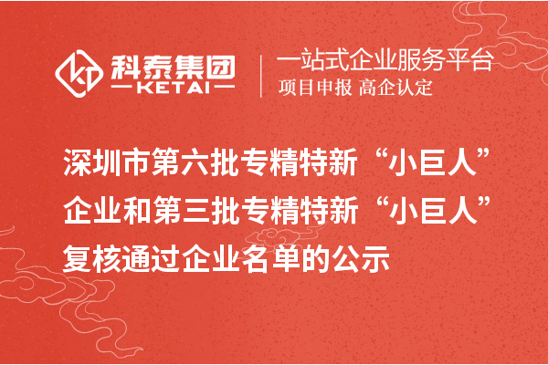 深圳市第六批专精特新“小巨人”企业和第三批专精特新“小巨人”复核通过企业名单的公示