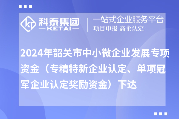 2024年韶关市中小微企业发展专项资金（专精特新企业认定、单项冠军企业认定奖励资金）下达