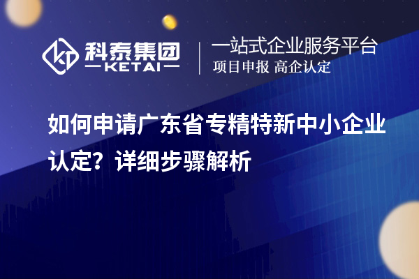 如何申请广东省专精特新中小企业认定？详细步骤解析