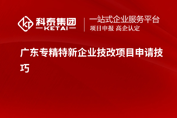 广东专精特新企业技改项目申请技巧