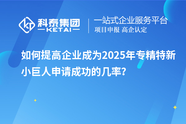 如何提高企业成为2025年专精特新小巨人申请成功的几率？