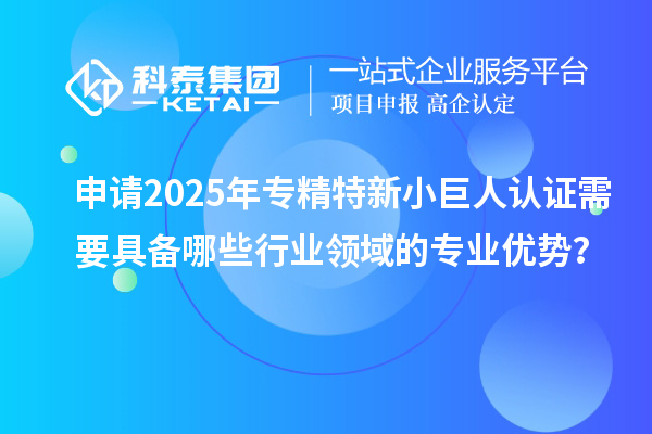 申请2025年专精特新小巨人认证需要具备哪些行业领域的专业优势？