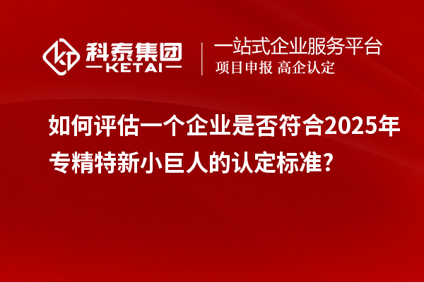 如何评估一个企业是否符合2025年专精特新小巨人的认定标准?