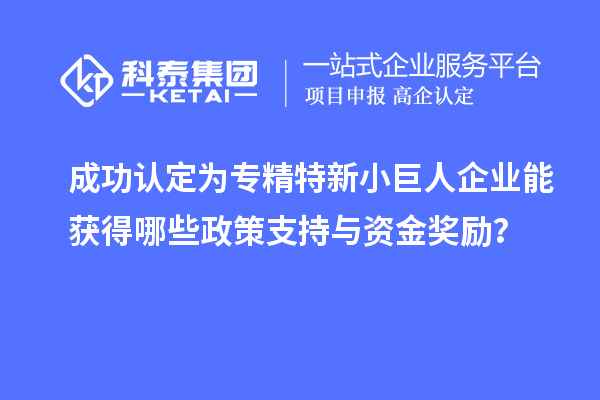 成功认定为专精特新小巨人企业能获得哪些政策支持与资金奖励？