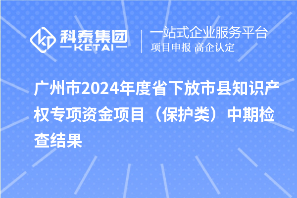 广州市2024年度省下放市县知识产权专项资金项目（保护类）中期检查结果