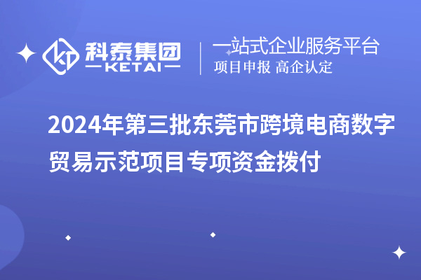 2024年第三批东莞市跨境电商数字贸易示范项目专项资金拨付