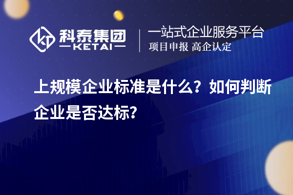 上规模企业标准是什么？如何判断企业是否达标？