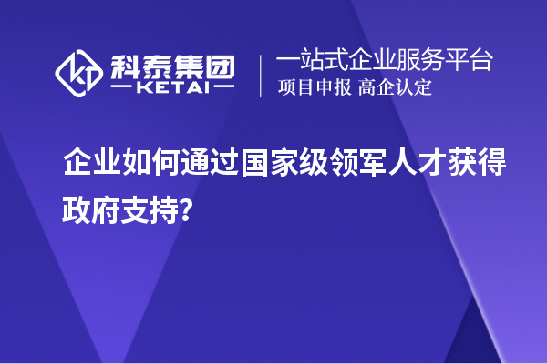 企业如何通过国家级领军人才获得政府支持？