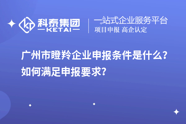 广州市瞪羚企业申报条件是什么？如何满足申报要求？