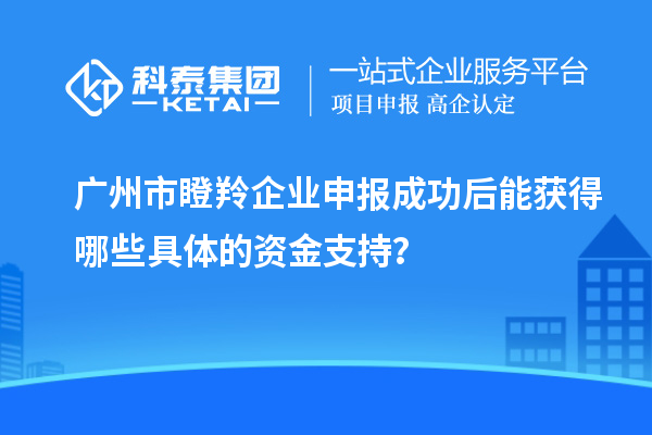 广州市瞪羚企业申报成功后能获得哪些具体的资金支持？