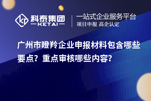 广州市瞪羚企业申报材料包含哪些要点？重点审核哪些内容？