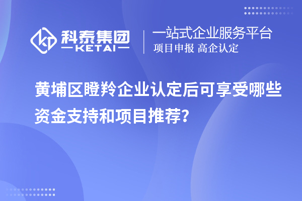 黄埔区瞪羚企业认定后可享受哪些资金支持和项目推荐？