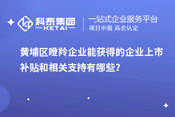 黄埔区瞪羚企业能获得的企业上市补贴和相关支持有哪些？