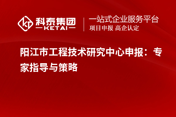 阳江市工程技术研究中心申报：专家指导与策略