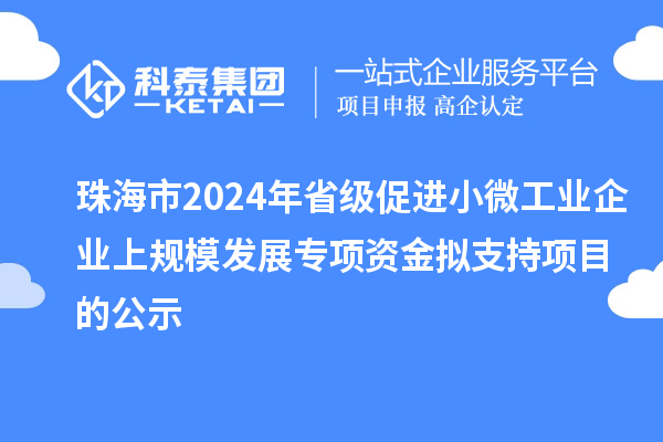 珠海市2024年省级促进小微工业企业上规模发展专项资金拟支持项目的公示