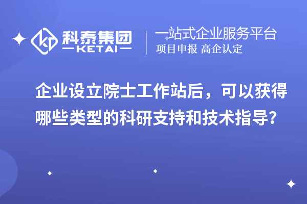 企业设立院士工作站后，可以获得哪些类型的科研支持和技术指导？