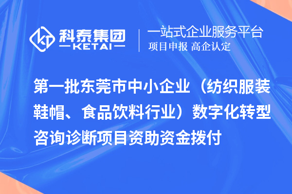 第一批东莞市中小企业（纺织服装鞋帽、食品饮料行业）数字化转型咨询诊断项目资助资金拨付