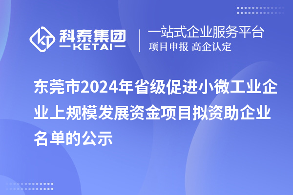 东莞市2024年省级促进小微工业企业上规模发展资金项目拟资助企业名单的公示