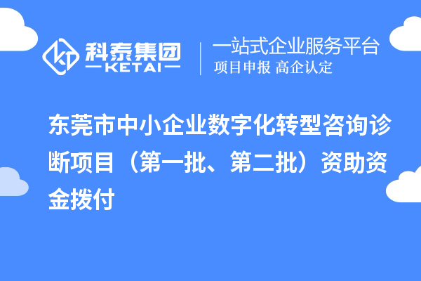 东莞市中小企业数字化转型咨询诊断项目（第一批、第二批）资助资金拨付