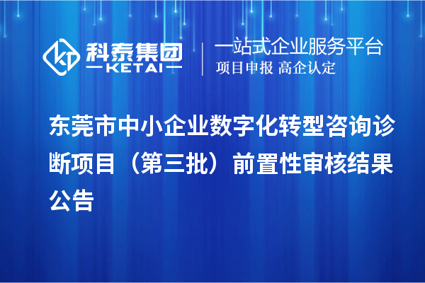 东莞市中小企业数字化转型咨询诊断项目（第三批）前置性审核结果公告