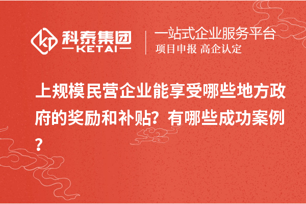 上规模民营企业能享受哪些地方政府的奖励和补贴？有哪些成功案例？