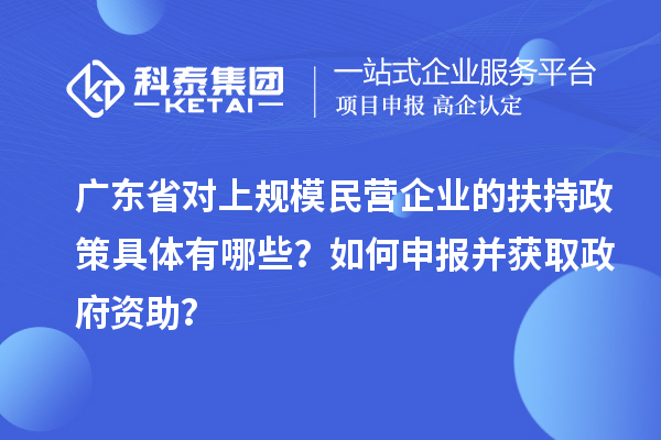 广东省对上规模民营企业的扶持政策具体有哪些？如何申报并获取政府资助？