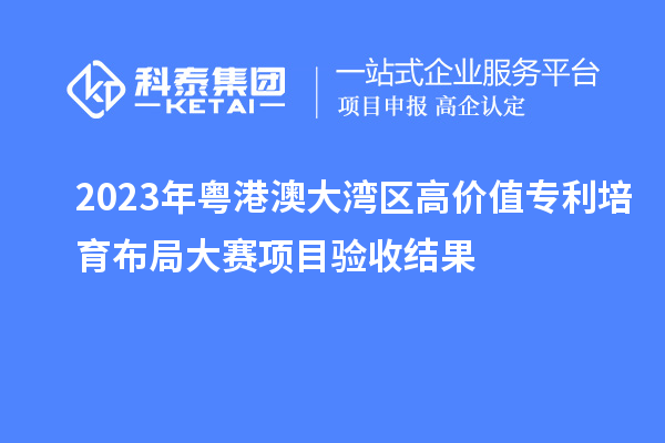 2023年粤港澳大湾区高价值专利培育布局大赛项目验收结果