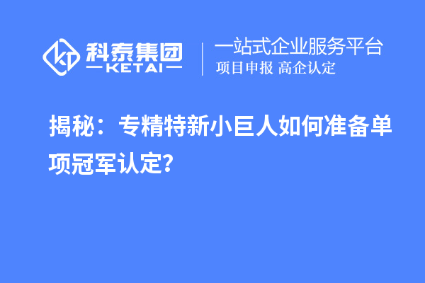 揭秘：专精特新小巨人如何准备单项冠军认定？