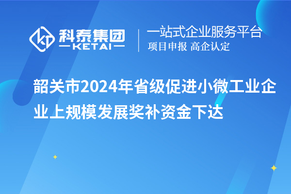 韶关市2024年省级促进小微工业企业上规模发展奖补资金下达