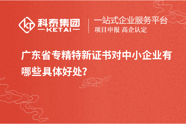 广东省专精特新证书对中小企业有哪些具体好处？