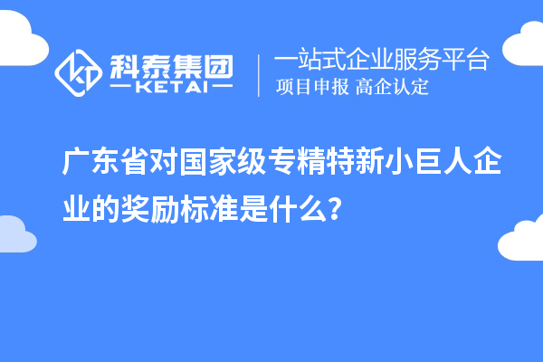 广东省对国家级专精特新小巨人企业的奖励标准是什么？