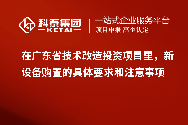 在广东省技术改造投资项目里，新设备购置的具体要求和注意事项